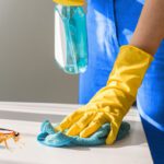 Pentingnya Integrasi Jasa Cleaning Service dengan Jasa Pest Control