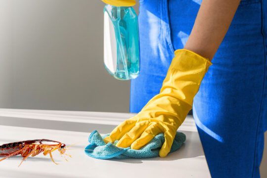 Pentingnya Integrasi Jasa Cleaning Service dengan Jasa Pest Control